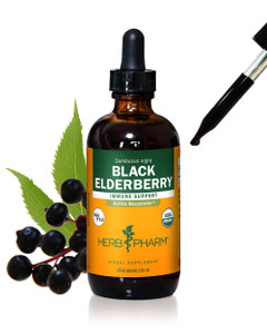 Herb Pharm Certified Organic Black Elderberry Liquid Extract for Immune System Support, Organic Cane Alcohol, 4 Ounce