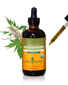 Herb Pharm Certified Organic Motherwort Liquid Extract for Endocrine System Support - 4 Ounce