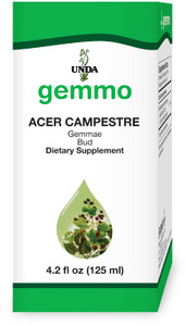 UNDA Gemmo Therapy Acer Campestre | Field Maple Bud Extract | 4.2 fl. oz.