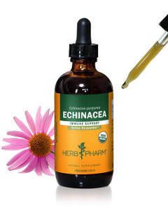 Herb Pharm Certified Organic Echinacea Root Liquid Extract for Immune System Support, Organic Cane Alcohol, 4 Ounce