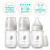 Evenflo Feeding Balance + Wide Neck Glass Bottles - 6oz 3 Pack