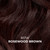 Clairol Professional Beautiful Collection Hair Color, 17W Rosewood Brown, 3 oz. - Packaging May Vary
