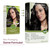 Naturtint Dark Brown Root Retouch Crème Permanent Hair Color - Ammonia Free, Conceal Grays, No Artificial Scent, 1.52 Fl Oz
