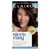 Clairol Nice'n Easy Permanent Hair Dye, 5C Medium Cool Brown Hair Color, Pack of 1