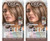L'Oreal Paris Feria Multi-Faceted Shimmering Permanent Hair Color, B61 Downtown Brown, Hair Dye Kit, Pack of 2