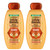 Garnier Whole Blends Honey Treasures Repairing Shampoo, for Dry, Damaged Hair, 22 Fl Oz, 2 Count (Packaging May Vary)