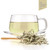 Tealyra - Premium White Silver Needle Tea - Bai Hao Yinzhen - Organically Grown in Fujian China - Superior Chinese Silver Tip White Tea - Loose Leaf