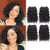 Human Hair Bundles Kinky Curly Bundles Human Hair Curly Wave Hair 4 Bundles Human Hair 50 Gram/Bundle 8A Unprocessed Kinky Curly Wave Bundles (8 8 8