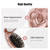 Travel Folding Hair Brush, Roses Mini Pocket Mirror Brush Easy to Carry for Small Spaces Nylon Brush/Comb/HairBrush for Women Men's Any Hairstyles Ha