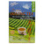 Prince of Peace Oolong Tea - 100 Tea Bags net wt. 6.35oz (180g)