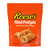 Reese's Filled Pretzels, Peanut Butter Pretzel Nuggets, Crunchy, Ready to Eat, Sweet and Salty Snack, 9oz Resealable Bag