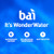 Bai Flavors Variety Pack, Antioxidant Infused Water Beverage, with Vitamin C and No Artificial Sweeteners, 18 fl oz bottles, 12 pack