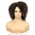 Hanne Fashion Short Kinky Curly Wigs Ombre Brown Side Part Wig Afro Curly Wig Twist Out Wigs Low Temperature Synthetic Fiber Full Hair for Black Wome