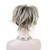Aimole Synthetic Ponytail Clip-on Straight Wig Short Extensions hair Hairpiece (48T Light Gray Blonde with Dark Root)