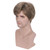 BERON Men Wigs Short Straight Heat Resistant Synthetic Wig Come with Wig Cap (Mixed Ash Blonde)