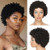 Ms Taj Short Human Hair Afro Wigs for Black Women Brazilian Virgin Short Curly Afro Wigs Human Hair 150% Density Natural Black (style two) (Natural B