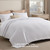 Bedsure Quilts Queen Size - Bright White Bedspread Queen Size & Lightweight Comforter, Modern Coverlet with Clover Pattern, Ultra Soft All-Season Bed