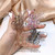 6 Pcs Clear Mini Butterfly Hair Clips Hair Claw Clamps Jaw Clips Hair Accessories for Girls and Women