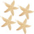 Hicarer 4 Pieces Starfish Hair Clip Metal Sea Star Beach Hair Pins for Women Accessories Halloween Mermaid Cosplay