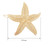 Hicarer 4 Pieces Starfish Hair Clip Metal Sea Star Beach Hair Pins for Women Accessories Halloween Mermaid Cosplay