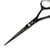 VERY SHARP 5.5 inch Black Cobalt Professional Hairdressing Barbers Scissors Shears