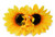 2Pcs 3.9" Sunflower Hair Alligator Clips Hair Accessories for Party Beach Vacation Wedding Bridal Barrettes
