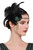 BABEYOND 1920s Headpiece Flapper Headband Rhinestone Pearl Feather Hair Band Great Gatsby Headpiece Accessoreis for Women