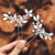 Casdre Crystal Bride Wedding Hair Pins Rhinestone Bridal Hair Pieces Wedding Hair Accessories for Women and Girls (Pack of 2) (A Silver)