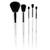 PUR MINERALS x CARE 5-Piece Makeup Brush Set with Holder Case - Professional Quality Makeup Brushes Includes Blush, Powder, Eyeshadow Base, Eyeshadow