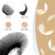 LASHVIEW Ellipse Flat Eyelash Extension,Flat Eyelash Extension supplies,Individual Lashes,0.15mm D Curl Mixed Length,Lash Extension,Semi-Permanent,Ex