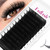 Lash Extensions FADLASH Eyelash Extensions D Curl 0.20mm 14mm Premium Silk Classic Eyelash Extensions Supplies (0.20-D,14mm)