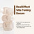 PONGDANG Real Effect Vita Toning Serum | Pore-Refining & Skin-Brightening Care | Lightweight, Non-Greasy Formula with 12 Vitamins, Niacinamide & Whit