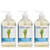 Natural Flower Power Liquid Hand Soap  Plant-Derived and Bio-Based Formula  Sulfate-Free, pH-Balanced, Vegan 3 Pack  Lemongrass  3 x 12 oz