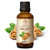 AROMATIKA Walnut Oil 1.7 Fl Oz (50ml) - Juglans Regia Seed Oil - USA - 100% Pure & Natural - Intensive for Face Care - Body - Hair - Skin - Nails - H