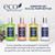 Eco Botanics Hotel Amenities Set | 10.14oz Pump Bottles | Shampoo, Conditioner, Hand & Body Wash, and Lotion | Set of 4