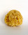 Real Sea Sponge for Men - Extra Large 6"-7", Totally Natural, Kind on Skin for an Invigorating Shower, Supplied in Breathable Mesh Bag. Great for The