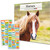 Horses Calendar 2026 - Deluxe 2026 Mare Horses Mini Calendar Bundle with Over 100 Reminder Stickers (Stallion Gifts, Office Supplies)
