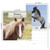 Horses Calendar 2026 - Deluxe 2026 Mare Horses Mini Calendar Bundle with Over 100 Reminder Stickers (Stallion Gifts, Office Supplies)