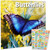 Butterflies Calendar 2026 - Deluxe 2026 Butterfly Decor Wall Calendar Bundle with Over 100 Reminder Stickers (Butterfly Wing Gifts, Office Supplies)