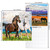 Horses Calendar 2026 - Deluxe 2026 Stallion Wall Calendar Bundle with Over 100 Calendar Reminder Stickers (Mare Horse Gifts, Office Supplies)