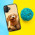 for iPhone 16, Durable Protective Soft Back Case Phone Cover, HOT24053 Golden Retriever 24053
