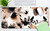 Arttown Brown Boho Tribal Flower Mouse Pad Large Gaming Mat Floral Non-Slip Desk Pad Keyboard and Mouse Desk Mat for Gamer, Office & Home, 31.5 x 15.