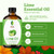 SVA Lime Essential Oil  4 Fl Oz  100% Natural Lime Oil - for Diffuser, Hair Care, Face, Skin Care, Aromatherapy, Scalp and Body Massage, Soap and C