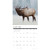 Willow Creek Press, Elk Bull 2026 Wall Calendar, 12'' X 12'', Daily Calendar with Stapled Binding