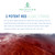 Holistic Bin Red Marine Algae Capsules Gigartina and Dumontiacea Red Algae Supplements | Gluten Free, Vegan, Wild Harvested | Rich in Vegan Omega 3 (