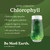 Nature's Sunshine Chlorophyll Stick Packs: Supercharge Your Detox and Boost Gut Health in Convenient, Delicious Stick Packs (Sweet Melon)
