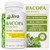 Jiva Botanicals Bacopa Monnieri Supplement Pure 1000mg per Serving - High Potency Bacopa Monnieri (Brahmi) & Extract for Normal Brain, Focus, & Memor
