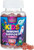 Kids Immune Support Supplement Gummies - Daily Childrens Vitamins C, Zinc & Echinacea - Gummy for Kids Immune Support, Ages 4 and Up, Natural Berry F