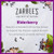 Zarbees Elderberry Gummies Daily Immune Support Supplement with Vitamins A C D E & Zinc, Black Elderberry Extract, Natural Berry Flavor, Vegetarian,