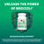 Nutramax Laboratories Avmacol #1 Researched Sulforaphane-Producing Brand for Detoxification with Glucoraphanin and Active Myrosinase, Adults & Childr